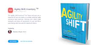 Agility Shift Inventory for Teams